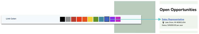 Career Page Customization - Color Theme - Link Color